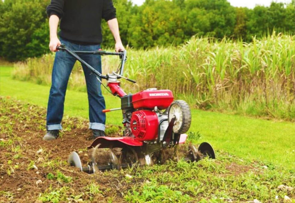 La motozappa e le orticole : un rapporto stretto