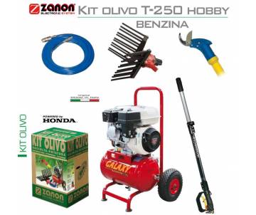 Kit per raccolta e potatura uso hobbistico - Zanon T-250 con motore benzina Motocompressori