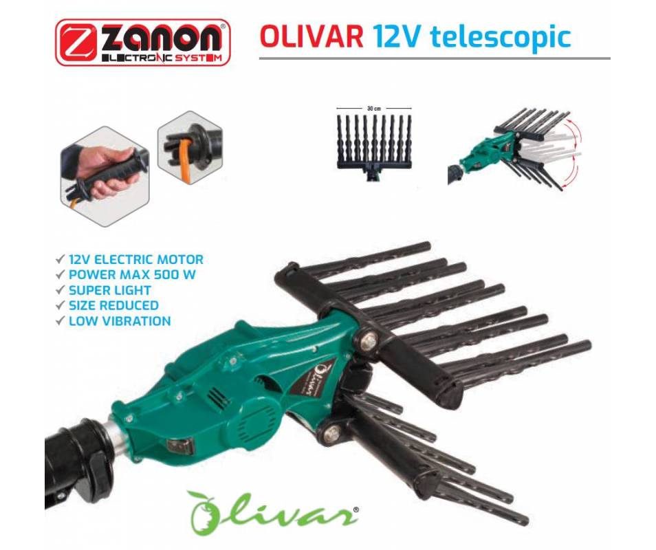 Olivar Zanon - Abbacchiatore Elettrico Hobbistico 12 V con asta telescopica 170/250 cm Abbacchiatori