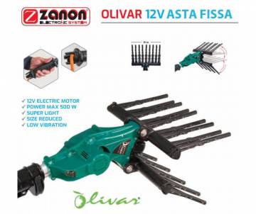 Olivar Zanon - Abbacchiatore Elettrico Hobbistico 12 V con Asta Fissa Abbacchiatori