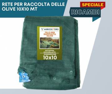 RETE PER RACCOLTA OLIVE 10x10