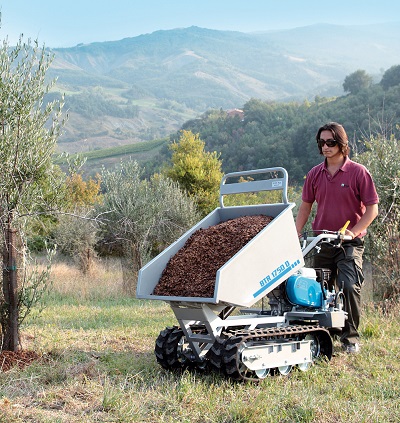 motocarriola_bertolini1750_lavoro.jpg