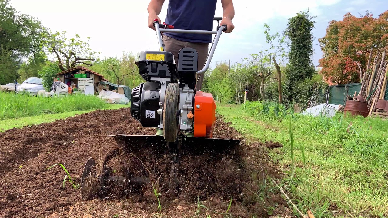 Perche coltivare il terreno dell'orto?