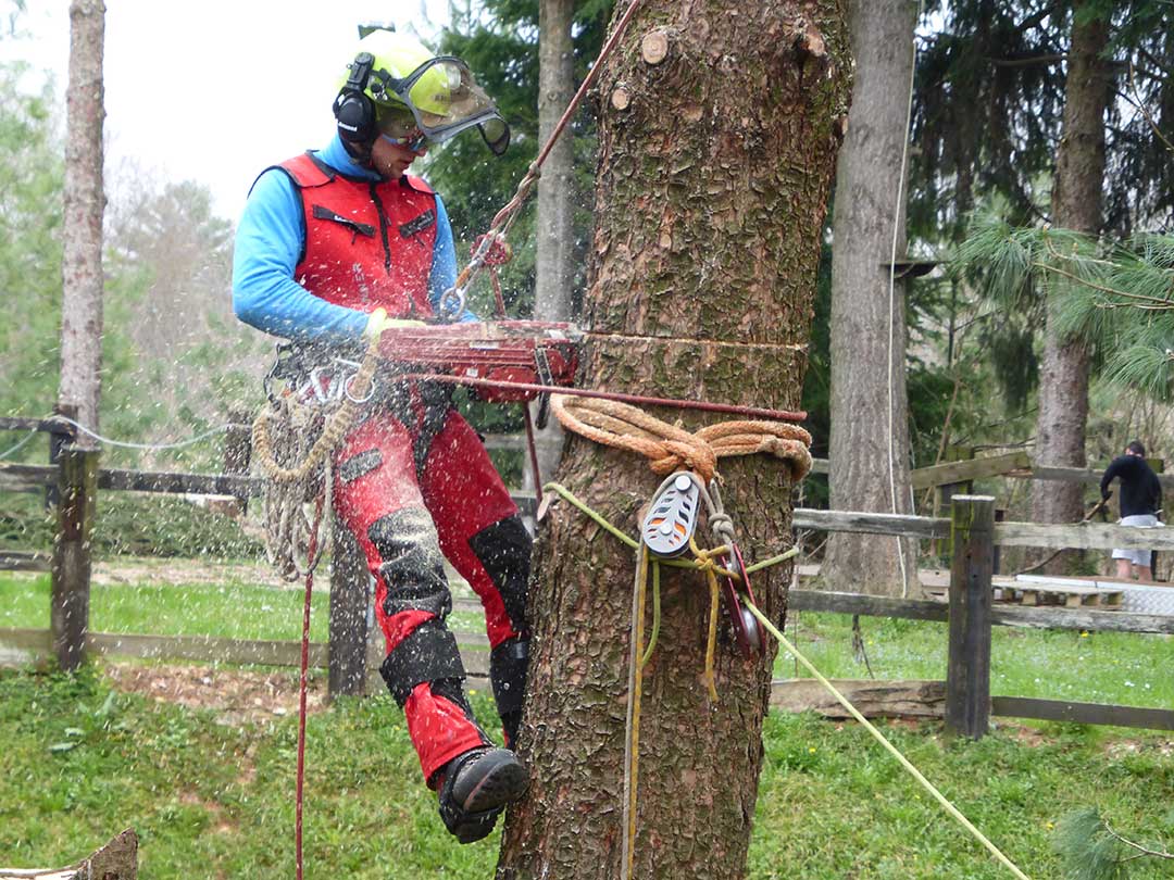  Motosega e tecnica di taglio in quota