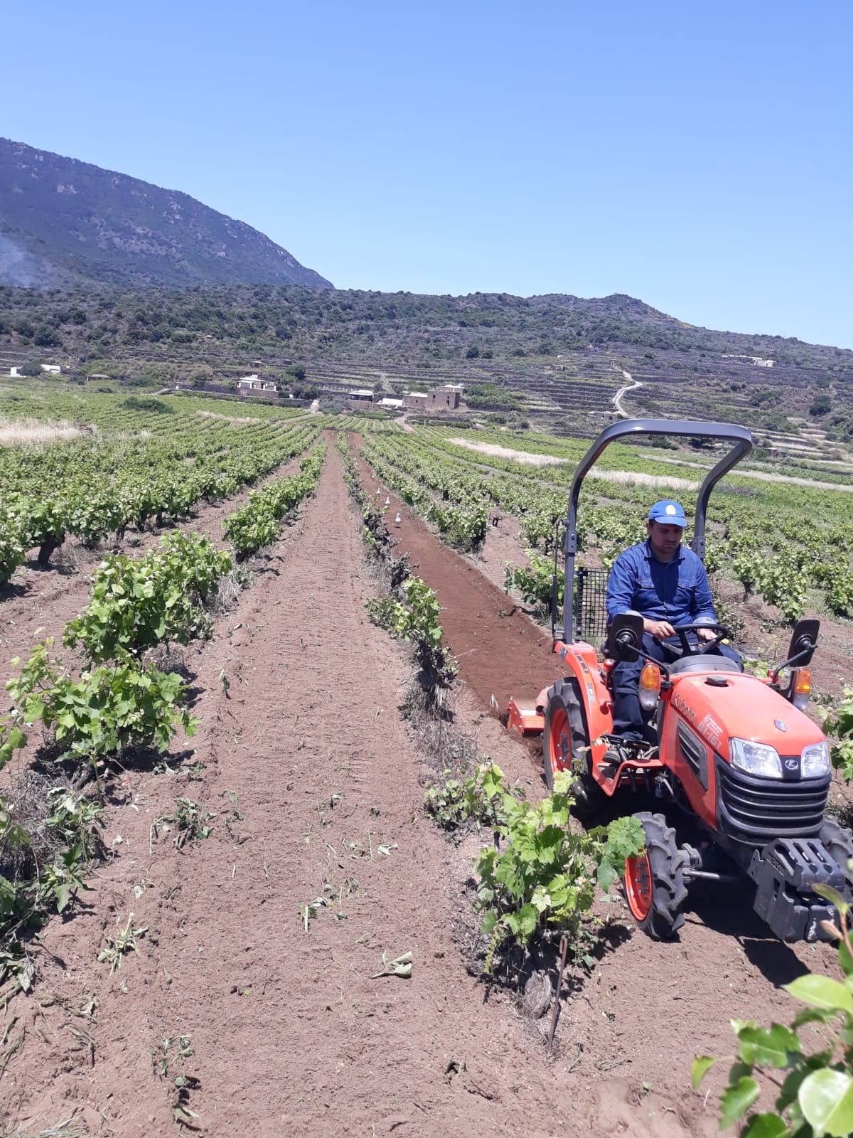 kubota trattore pantelleria