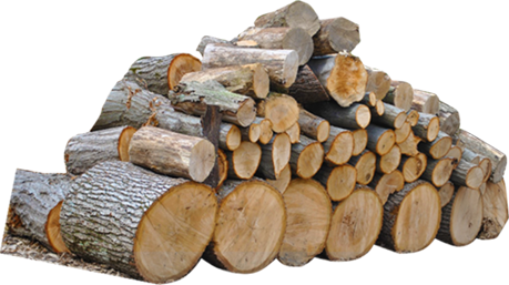 La motosega professionale: la legna da ardere e la crisi in ucraina