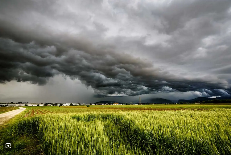 maltewmpo e ricadute sull agricoltura