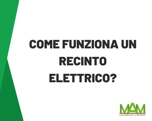 Come funziona una recinzione elettrica o elettrificata